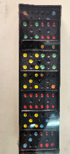 Domino de plastico